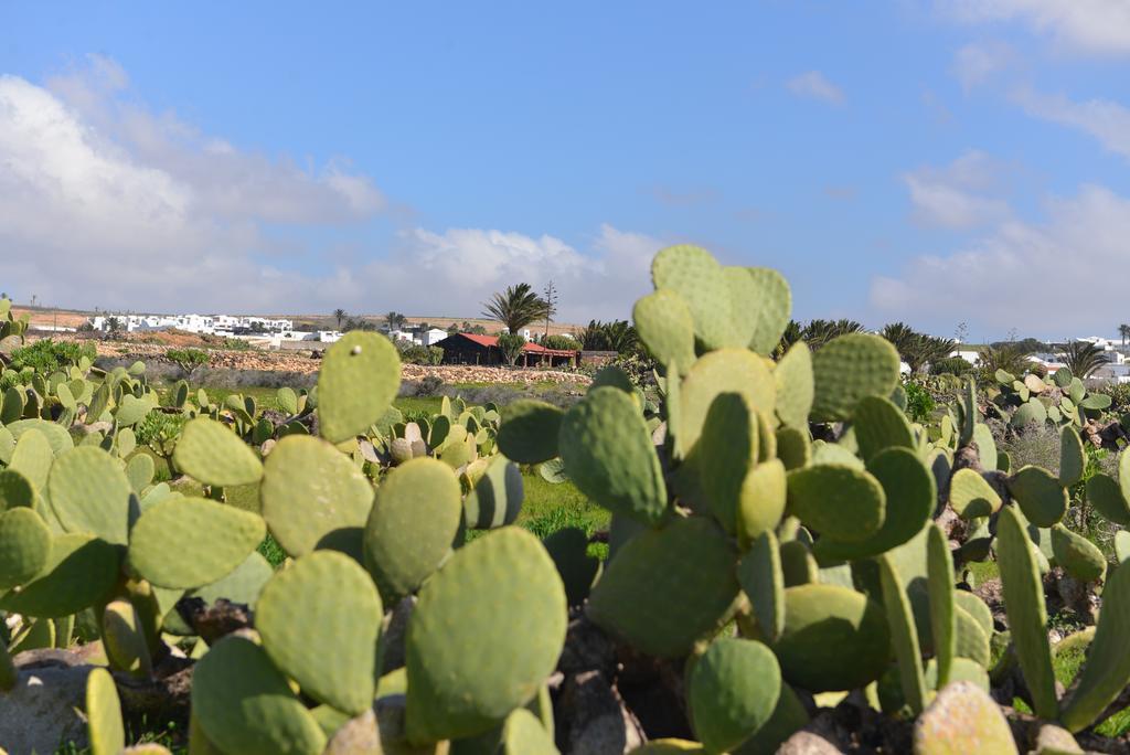 Villa Taguluche Famara Luaran gambar